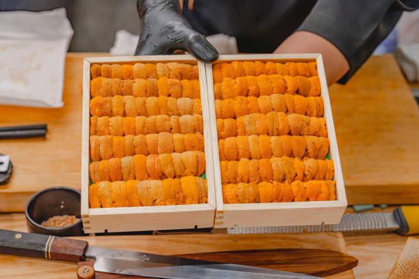 A chef holding a premium selection of fresh sea urchin, or uni, carefully arranged in a traditional wooden box, highlighting the rich, golden hue and the superior quality of this Japanese seafood delicacy.
