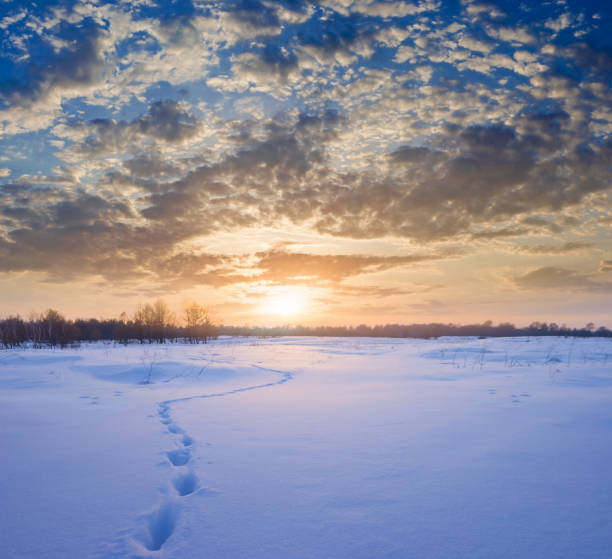 winter snowbound plain at the dramatic sunset, seasonal outdoor evening scene