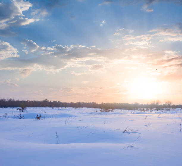istock winter snowbound plain at the dramatic sunset, seasonal outdoor evening scene 2194320137