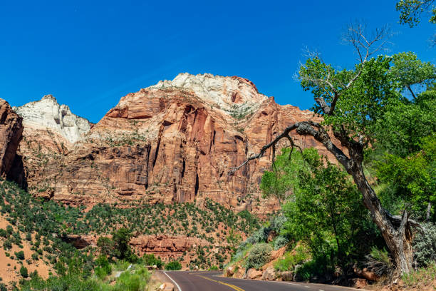 istock Zion National Park view, Utah, USA 2194321018