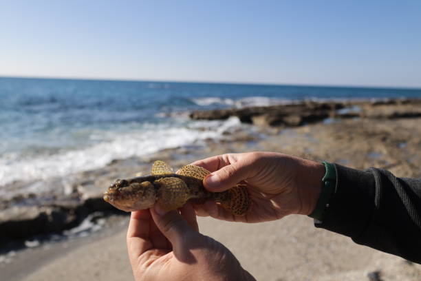istock fishing on the seashore 2194321039