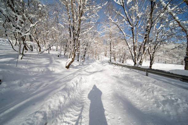 snow on serpentine country road through forest after outbreatk of winter on a sunny day danger of glaze ice weather and climate transport theme in backlight