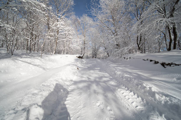 istock The view on the snow-capped mountains in winter 2194335566
