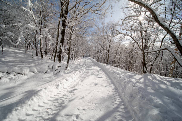 istock The view on the snow-capped mountains in winter 2194335567