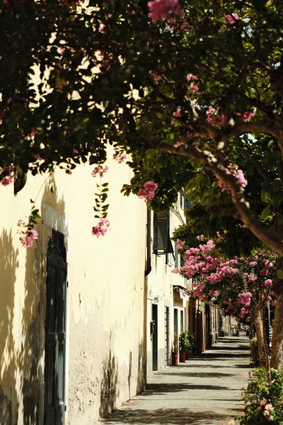 istock Quiet street lined with blooming trees in a charming coastal town during sunny midday 2194336353
