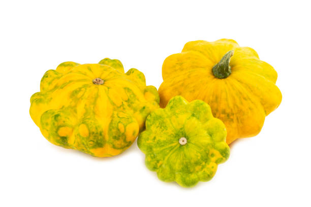 Pattypan zucchini isolated on white background. squash. Fresh organic pattypan squashes on background. Vegan. Farmer's Market. Patisson.