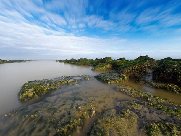 Subtle sunrise over a seascape scene of soft, low level rocks some with green lichen projecting out into the sea. Water is blurred and soft with warm tones from the sky reflected in the water