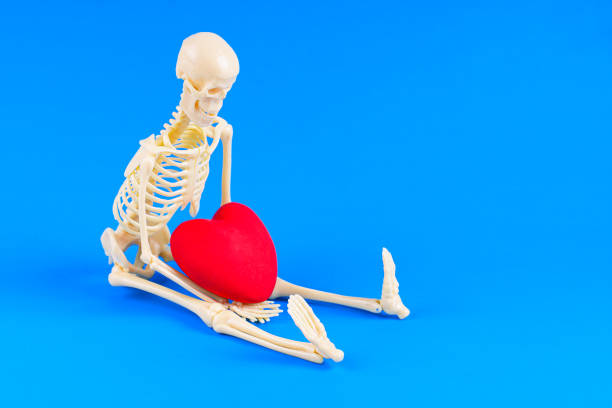 istock Skeleton Holding Red Heart on Blue Background 2194341462