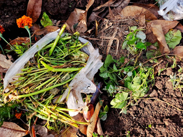 istock discarded food scraps and a plastic bag on a compost pile, highlighting the contrast between organic waste and non biodegradable materials. Perfect for environmental awareness campaigns 2194341646
