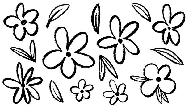 ilustrații de stoc cu 2603_chamomile_crayon - floare