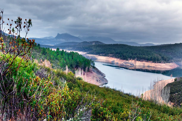 istock Cistus and Atazar reservoir 2194345776