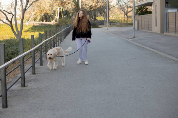 istock Young woman with cerebral palsy walking her dog 2194349063