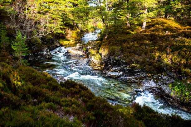River Lui at Linn of Dee, which flows into the River Dee near the village of Braemar in Highland Scotland.