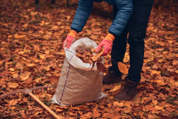 istock Man cleaning garden from fallen autumn leaves. 2194349847