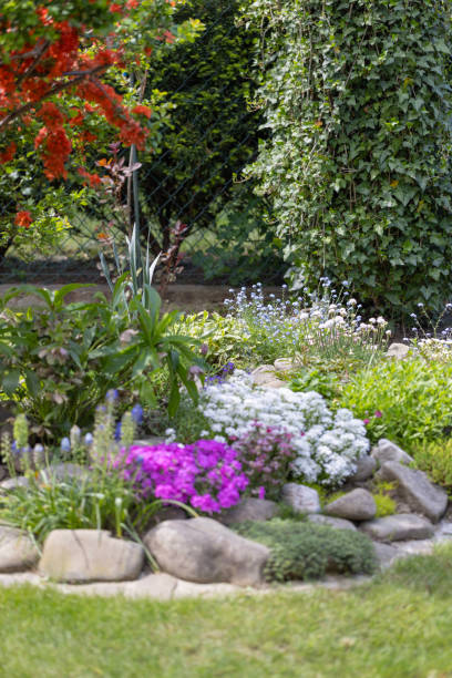 istock Beautiful colorful spring rock garden, blooming flowers 2194350557