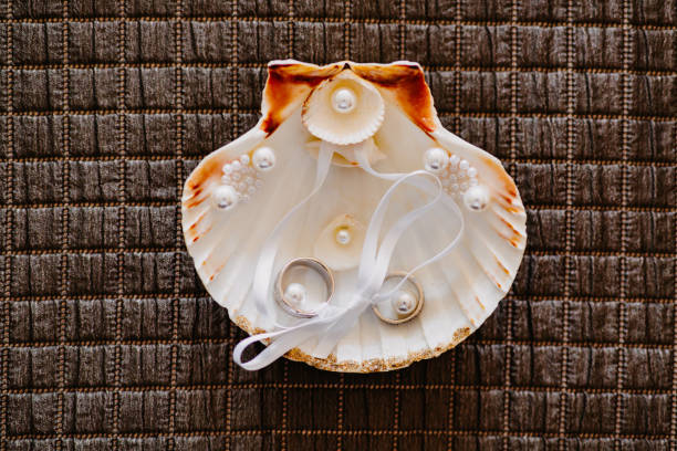 Wedding rings rest in a white seashell adorned with white pearls perfectly prepared to be placed on the altar for the wedding ceremony. The delicate arrangement exudes elegance and a touch of coastal charm. Color editing. Part of a wedding series.
