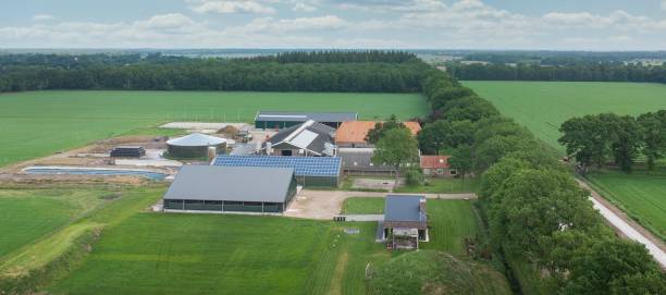 istock New build modern Dutch dairy cattle stable. Aerial drone shot 2194360128