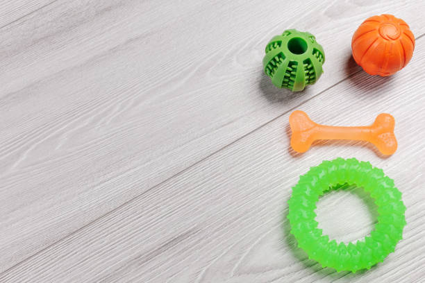 Pet supplies and toys. Playful toys such as balls, a rubber ring and a chewing bone on the floor. Top view.