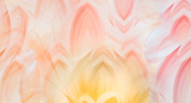 istock Flower   petals.   Floral spring background. Close-up. Nature. 2194365710