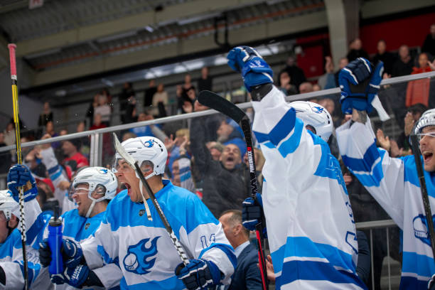 istock Ice Hockey Players Celebrating a Key Moment 2194367588