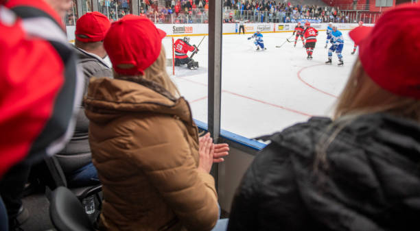 istock Spectators Watching Ice Hockey Match 2194368118
