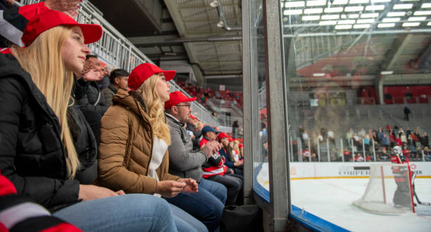 istock Engaged Fans Watching Intently at Ice Hockey Match 2194368147