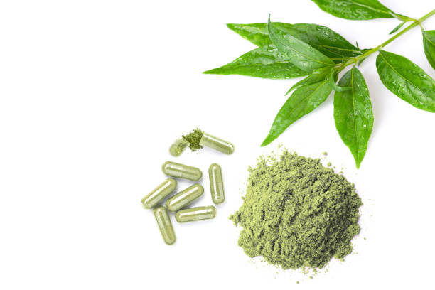 istock paniculata leaf and powder herbal capsules 2194370235