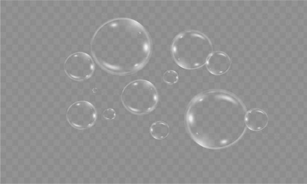Realistic soap vector bubbles isolated on transparent background. The effect of falling and flying bubbles. Glass bubble effect
