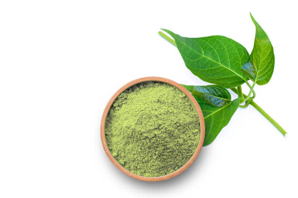 istock Gymnema inodorum green powder 2194372485