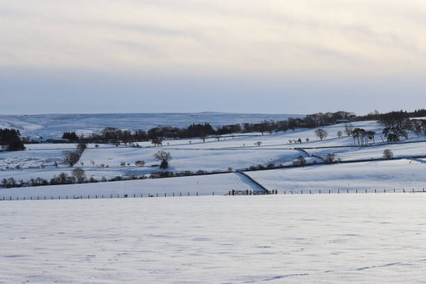 Snow covered countryside fields in winter
