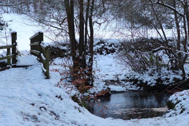 istock Small bridge over a woodland river in winter 2194373753