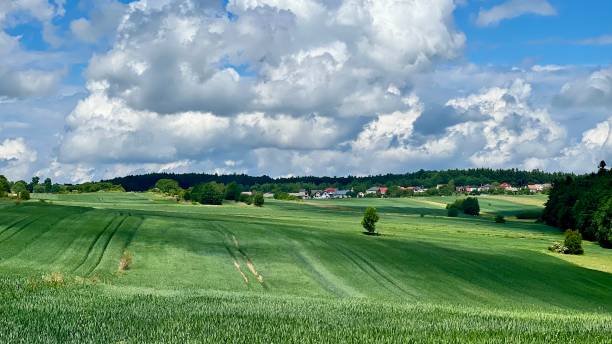 istock Panoramic photo of an agricultural field under a blue sky with clouds 2194376813
