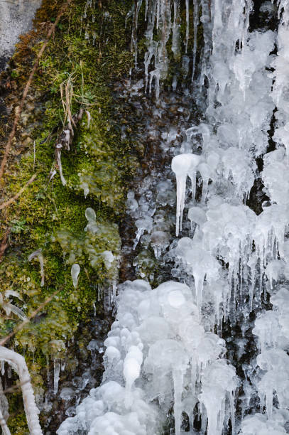 A detailed close-up of icicles and frozen droplets forming a complex pattern on a moss-covered surface. The image highlights the delicate beauty of nature's winter artistry.