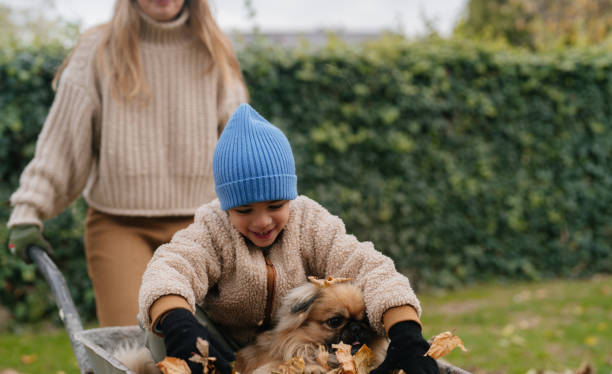 istock Boy and Dog on a Wheelbarrow Ride 2194377402