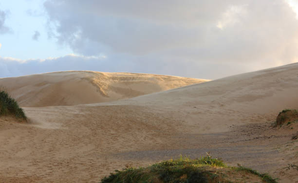 istock sand dunes with sparse vegetation and no people 2194381424