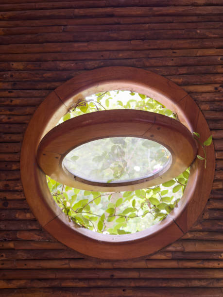 Natural light filters through circular wooden window surrounded by greenery and rustic wall, creating serene atmosphere.