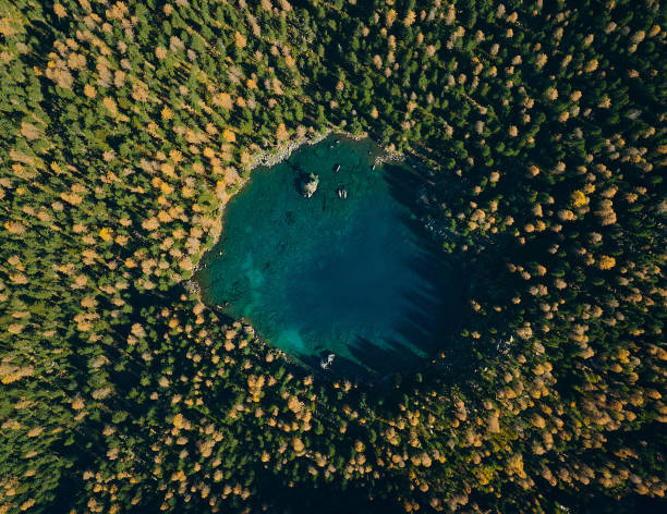 istock Golden fall trees with mountain lake. Drone picture from above 2194385667