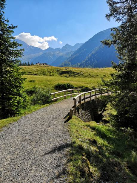 istock Bridge, Adamello Brenta natural park 2194387538