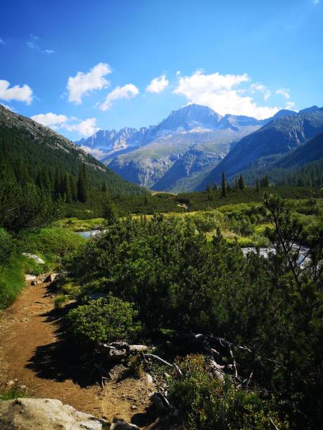 istock Path, Adamello Brenta natural park, Trentino 2194387579