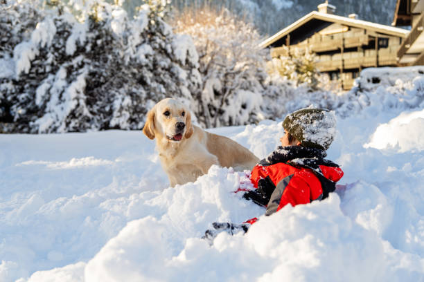 Child plays with his golden retriever dog pet outdoors in snow next to his chalet during winter holidays