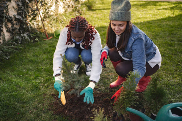 istock Two female volunteers planting trees in backyard 2194391383
