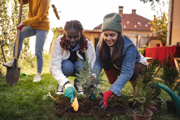 istock Three female friends planting a small tree in backyard 2194391469