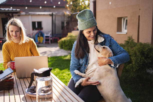 istock Two young women working remotely from backyard with pet dog 2194391628