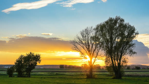 istock Dramatic clouds at sunset in Burgenland with field in the foreground 2194396320