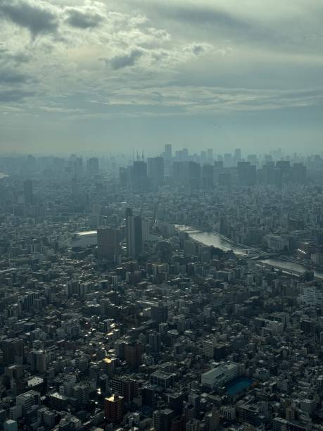 istock Expansive Tokyo Cityscape on a Cloudy Day 2194399488