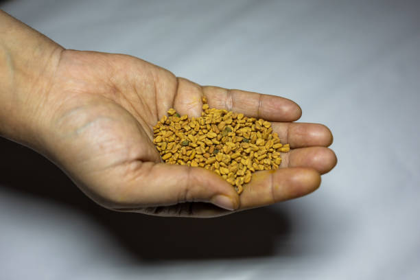istock fresh raw fenugreek seeds in palm with white background studio shot 2194401761