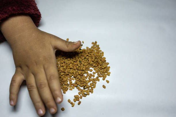 baby touching fresh raw fenugreek seeds in palm with white background studio shot