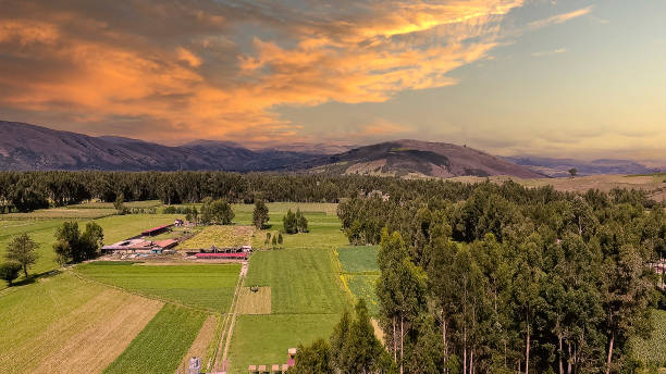 Rural Landscape at Sunset: Cultivated Fields under a Golden Sky