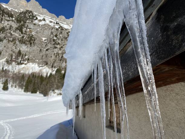 Winter icicles and frozen water formations during harsh winters on the rocks Churfirsten mountain range, above Lake Walensee and the Swiss town of Walenstadtberg (Schweiz)