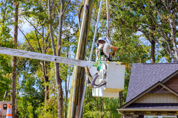 istock Electrical equipment being serviced at height by technician using a bucket truck after hurricane 2194404158